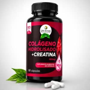 colageno + creatina 3 colageno + creatina 3